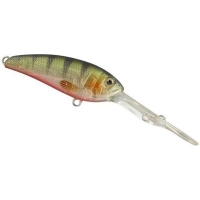 Green Ghost Perch