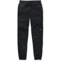 Брюки THE NORTH FACE Men's Tka Glacier Pants цвет черный