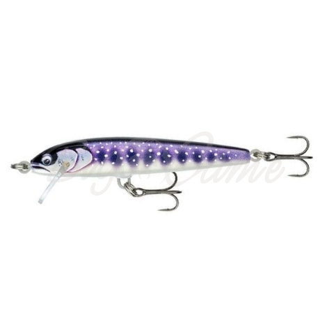 Воблер RAPALA Floater Elite 85F код цв. GDIW фото 1