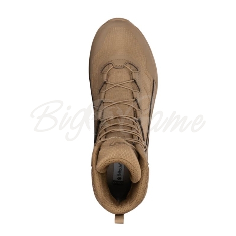Ботинки тактические AKU Sentinel GTX цвет Coyote фото 2