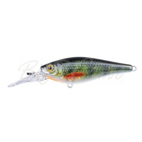 Воблер SPRO Ikiru Chrome Shad 70 SL SP цв. G-Perch фото 1