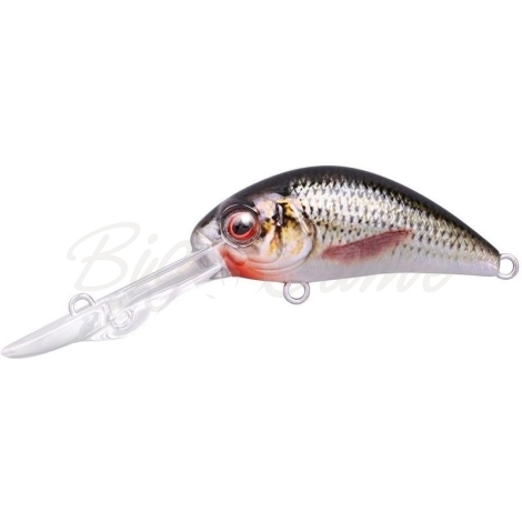 Воблер SPRO Ikiru Baby Crank-DD 40 FL цв. Roach фото 1