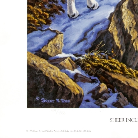 Картина Todds репродукции Sheer incline (белые козы) фото 3
