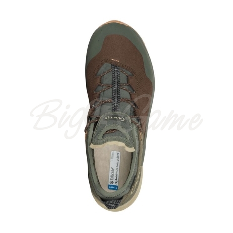 Кроссовки треккинговые AKU Omnia V-Light GTX цвет Brown / Green фото 2