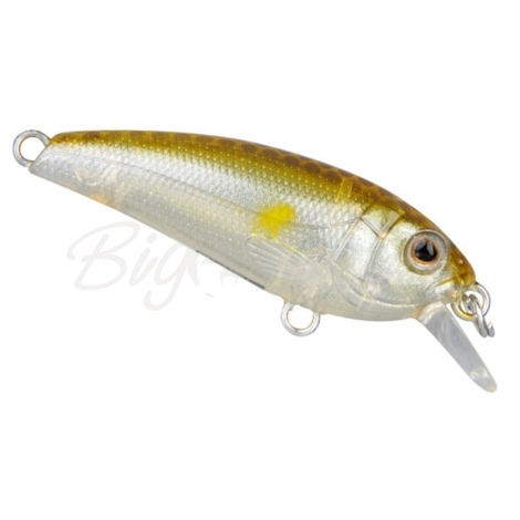 Воблер SPRO Chibi Shad 40SS цв. Sl Ghost Ayu фото 1