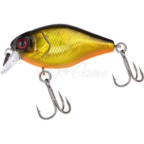 Воблер JACKALL Chubby 41 SR Silent цв. hl gold & black фото 2
