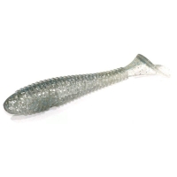 #431 Silver Shiner