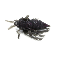 Жук BAIT BREATH NoLook Bug (2 шт.) код цв. 610 cricket превью 1