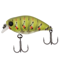 rt green caterpillar