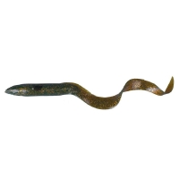 24-Motor Oil Eel