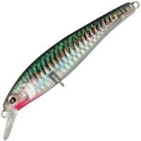 mackerel