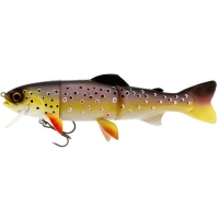 brook trout