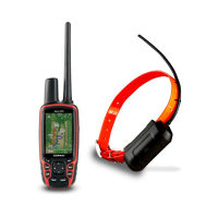 Навигационный комплекс GARMIN Astro 320/T5 Rus для собак