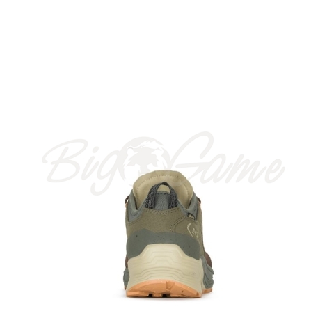 Кроссовки треккинговые AKU Omnia V-Light GTX цвет Brown / Green фото 4