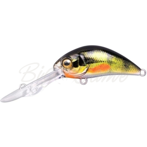 Воблер SPRO Ikiru Chrome Baby Crank-DD 40 FL цв. G-Perch фото 1