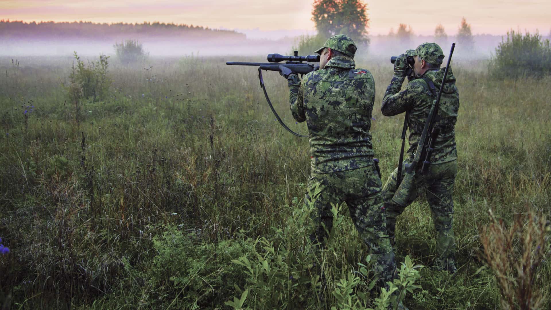 Скидка до 50% на Sitka Ground forest