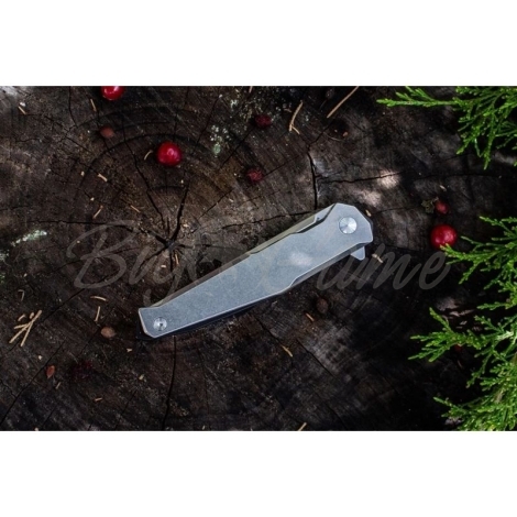Нож складной RUIKE Knife P108-SF цв. Серый фото 3