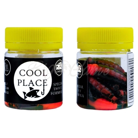 Личинка COOL PLACE Maggot 4 см (10 шт.) зап. сыр цв. 010 черный / оранжевый фото 1