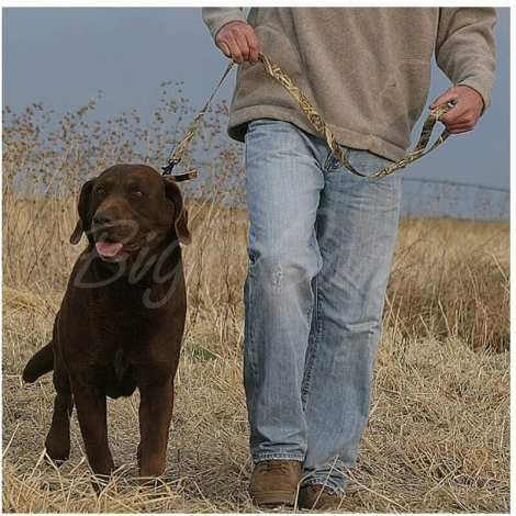 Поводок AVERY Standard Leash фото 4