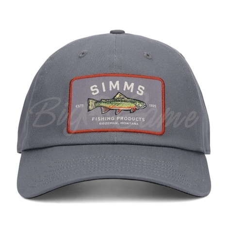 Кепка SIMMS Single Haul Cap цвет Gunmetal Trout фото 1