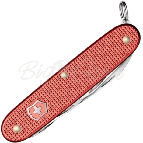 Мультитул VICTORINOX  Pioneer X Alox LE 2025 (9 инструментов) фото 4