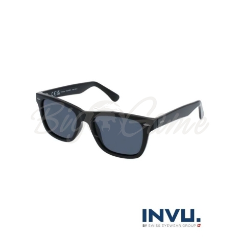 Очки поляризационные INVU Мужские IB22450A цв. Черный цв. ст. Черный фото 1