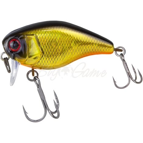 Воблер JACKALL Chubby 41 SSR Silent цв. hl gold & black фото 1