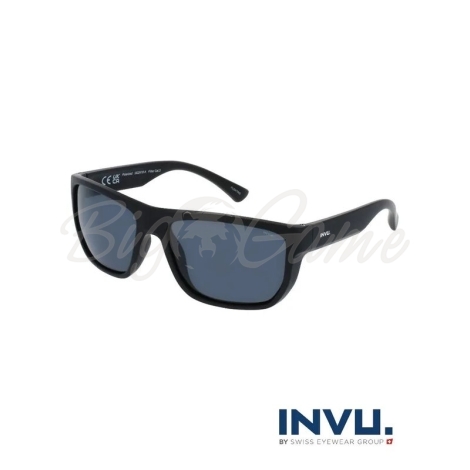 Очки поляризационные INVU Мужские IA22419A цв. Черный цв. ст. Черный фото 1