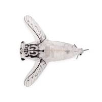 Воблер SMITH Bisen (цикада) F превью 2