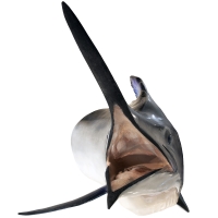 Сувенир HUNTSHOP Рыба голубой марлин голова 150 см превью 3