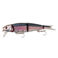 45-3D Minnow