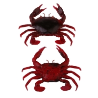 Red & Black Crab