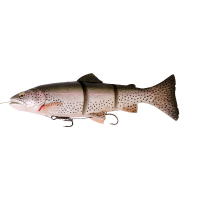 Приманка SAVAGE GEAR 3D Line Thru Trout MS 25 см цв. 01-Rainbow Trout превью 1