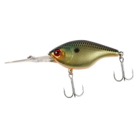 sk gold shiner