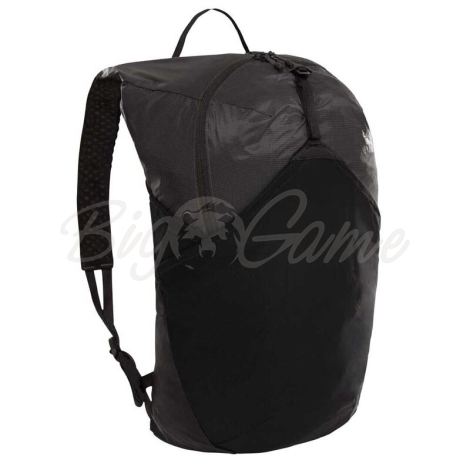 Рюкзак городской THE NORTH FACE Flyweight Packable Backpack 17 л цвет серый асфальт / черный фото 1