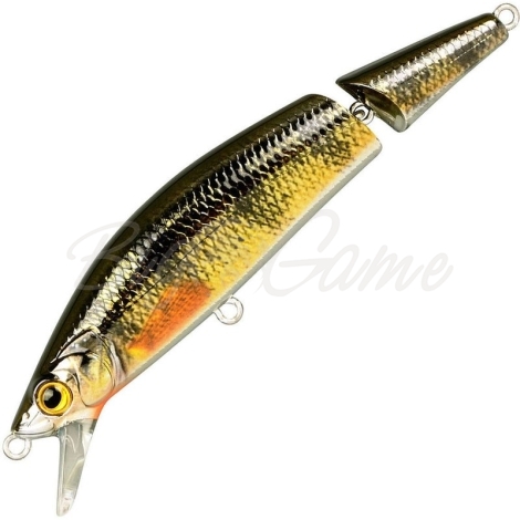 Воблер SPRO Ikiru Jointed 110F цв. Chrome Yellow Perch фото 1