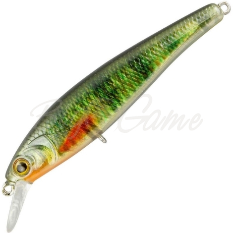 Воблер SPRO Ikiru Jerk 65 SP цв. Green Perch фото 1