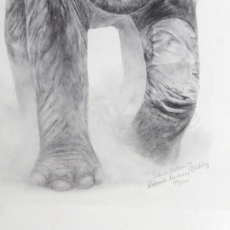 Картина HUNTSHOP Репродукция «Слон африканский» фото 2
