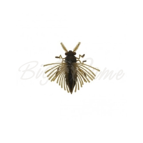Жук BAIT BREATH NoLook Bug (2 шт.) код цв. 606 madbug фото 1