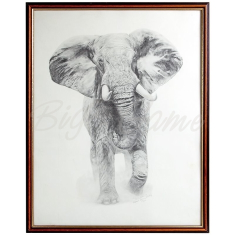Картина HUNTSHOP Репродукция «Слон африканский» фото 1