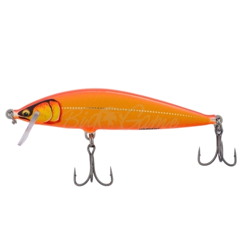 Воблер RAPALA CountDown Elite 95S код цв. GDGO фото 2