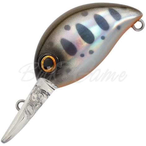 Воблер ZIP BAITS Baby Hickory MDR 25F код цв. 316 фото 1