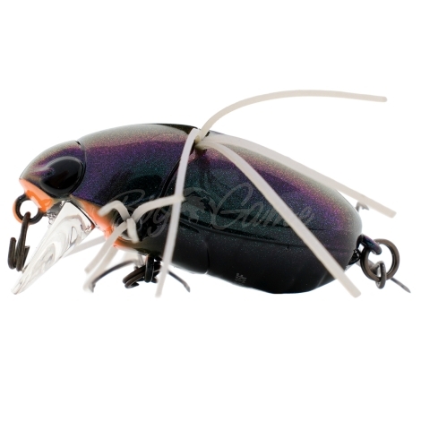 Воблер JACKALL Chubby Bug 35 цв. ul bug фото 2