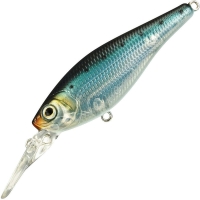 sardine