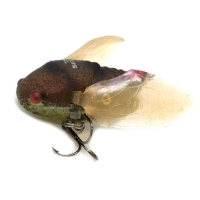ff mat brown bug