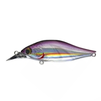 642 AK Purple Shad