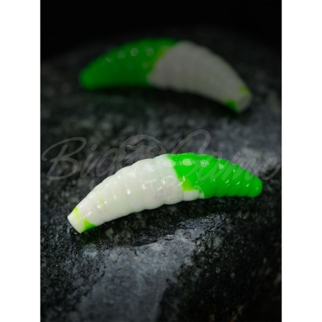 Личинка TERUKI Bro 3,8 см (8 шт.) зап. сыр цв. White/Green фото 1
