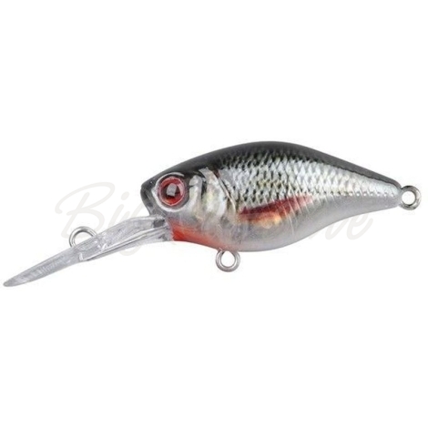 Воблер SPRO Ikiru Mini-Crank-Sl 38 FL цв. Roach фото 1