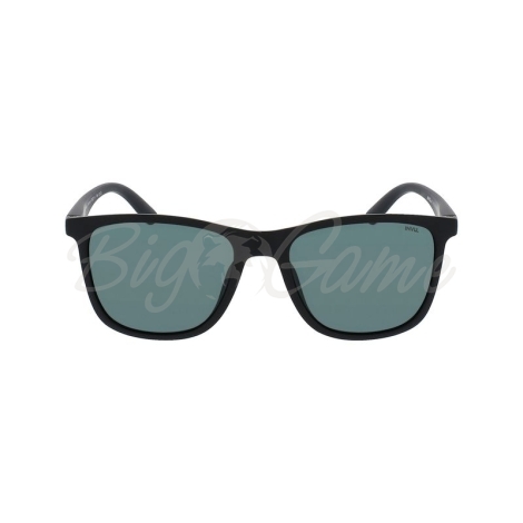 Очки солнцезащитные INVU Мужские B2321A с чехлом 20201 цв. черный матовый цв. ст. зеленый фото 3