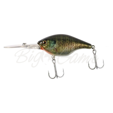 Воблер JACKALL Gillcra 60 цв. rt bluegill фото 1